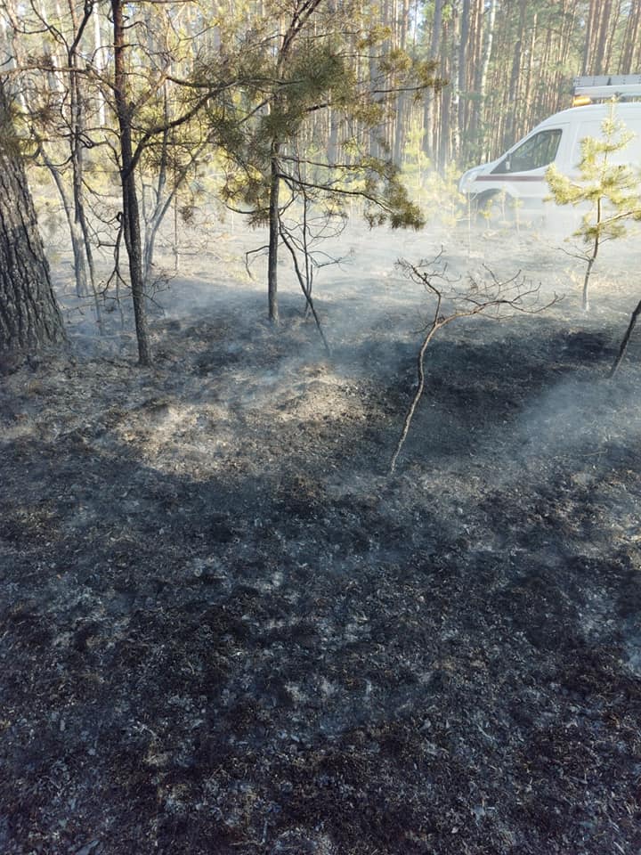 Region Ro Nie Zagro Enie Po Arowe W Pomorskich Lasach Tylko Na Naszym